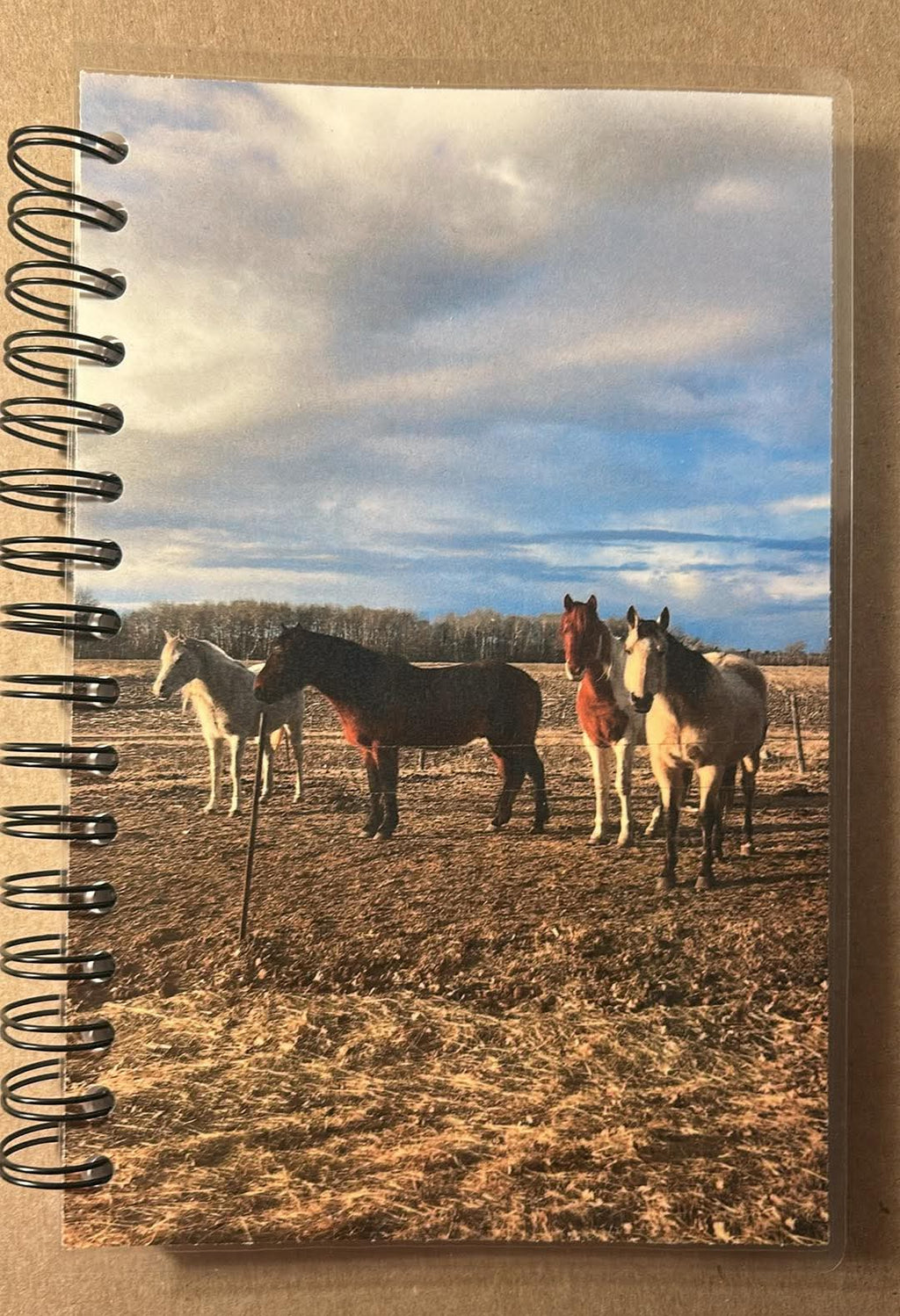 Notebook with a photo of horses on a field cover