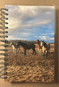 Notebook with a photo of horses on a field cover