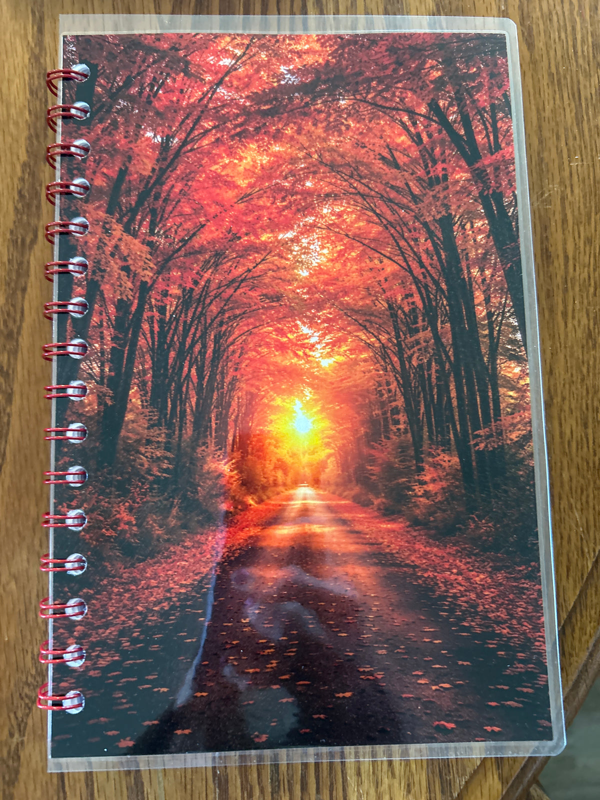 Fall path spiral lined journal