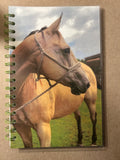 Horse “Jack” Spiral (lined) Notebook