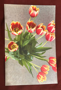 Tulip Flower Spiral (lined) Notebook