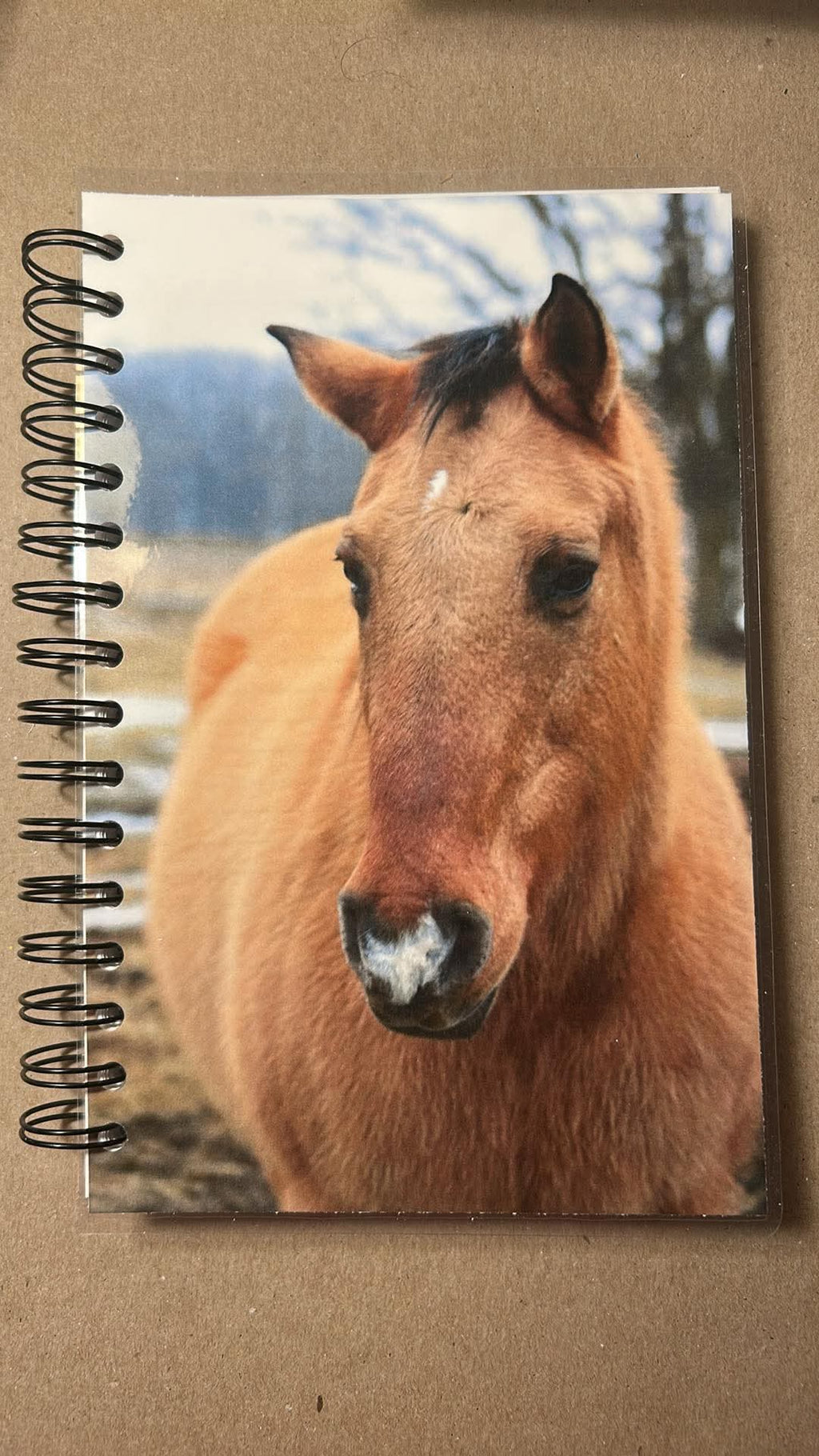 Horse “Olaf” Spiral (lined) Notebook